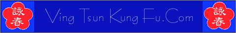 Ving Tsun Kung Fu